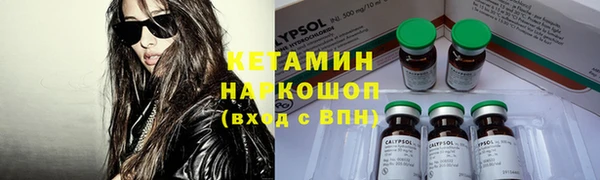 шишки Бронницы