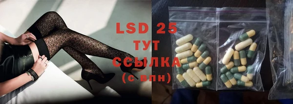 экстази Бородино