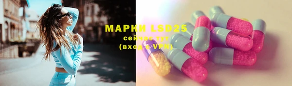 шишки Бронницы