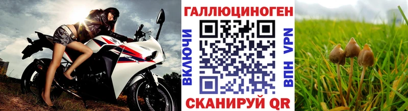 Псилоцибиновые грибы Psilocybe Купить закладки Олонец